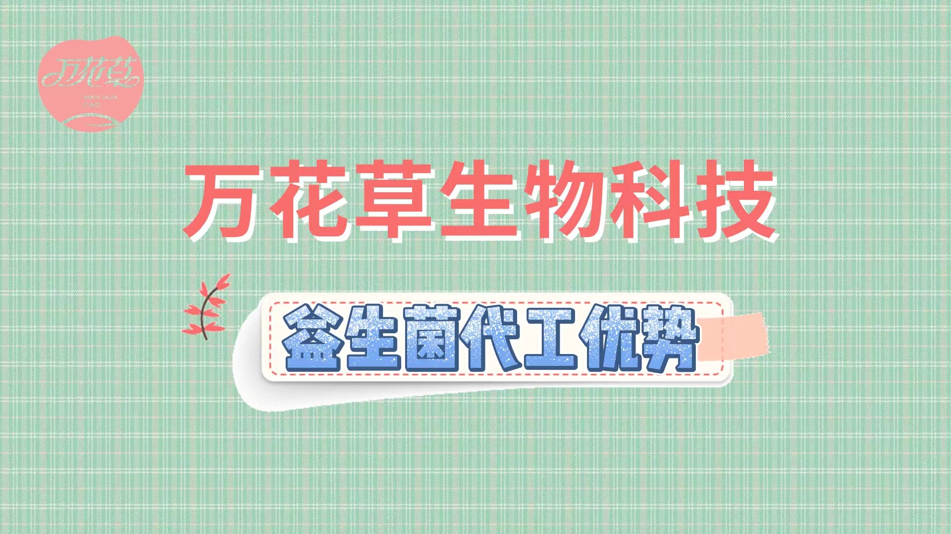 萬花草益生菌固體飲料行業分析及代工優勢