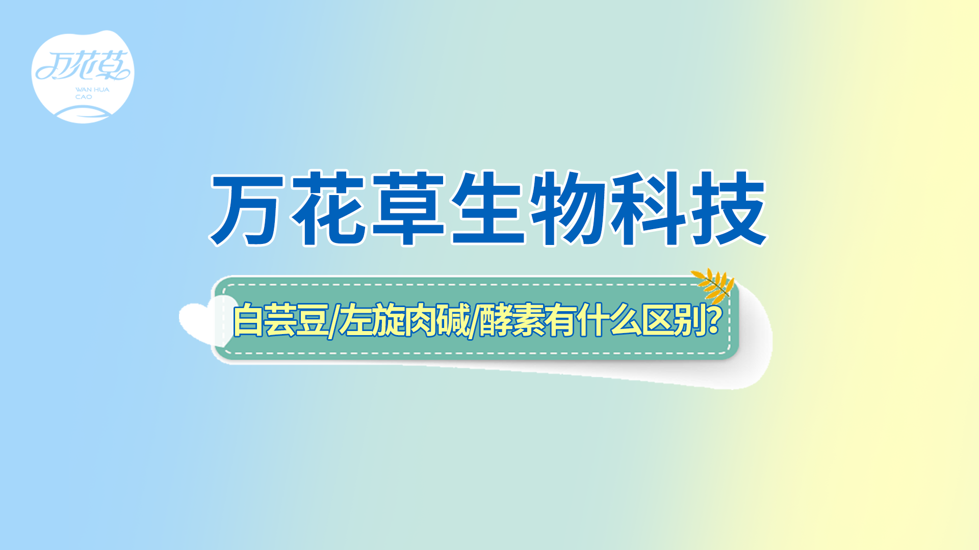 白蕓豆、左旋肉堿、嗨吃酵素有什么區(qū)別？